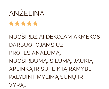 Atsiliepimas Akmeka 2